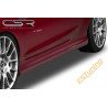 Karbilaiendid,  Ford Fiesta MK7 SS141