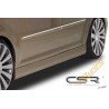 Karbilaiendid,  VW Touran GP2 SS164