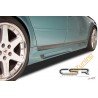 Karbilaiendid,  Audi A6 C5 4B SS253