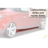 Karbilaiendid,  Renault Megane SS390