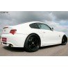 Karbilaiendid,  BMW Z4 Typ E85 SS411