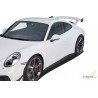 Karbilaiendid,  Porsche 911/991 SS443