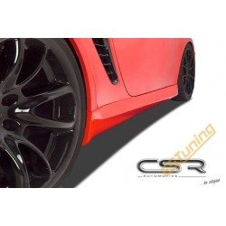 Karbilaiendid,  Porsche 987...