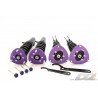 D2 Racing Street Coilovers for Toyota MR-S
