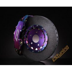D2 Racing Carbon Big Brake...