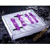 D2 Racing Camber Kit for Honda Civic EK, EJ, EM (96-00)