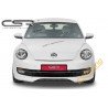 Esistangelisa, VW The New Beetle FA172