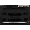 Esistangelisa, BMW 5er F10/F11 M-Paket FA269