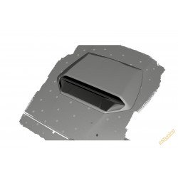 Õhuvõtuava kapotile, Ford...