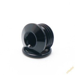 Deatschwerks Fuel Pressure Regulator Plug - 9/16"x18 (AN6)